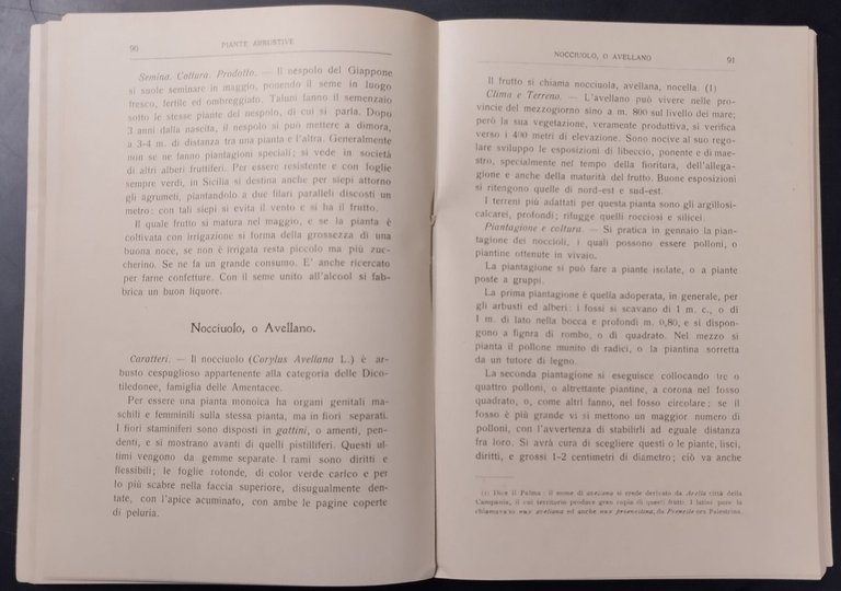 PIANTE ARBUSTIVE Trattato delle coltivazioni di Giuseppe Cusumano 1910 Libro