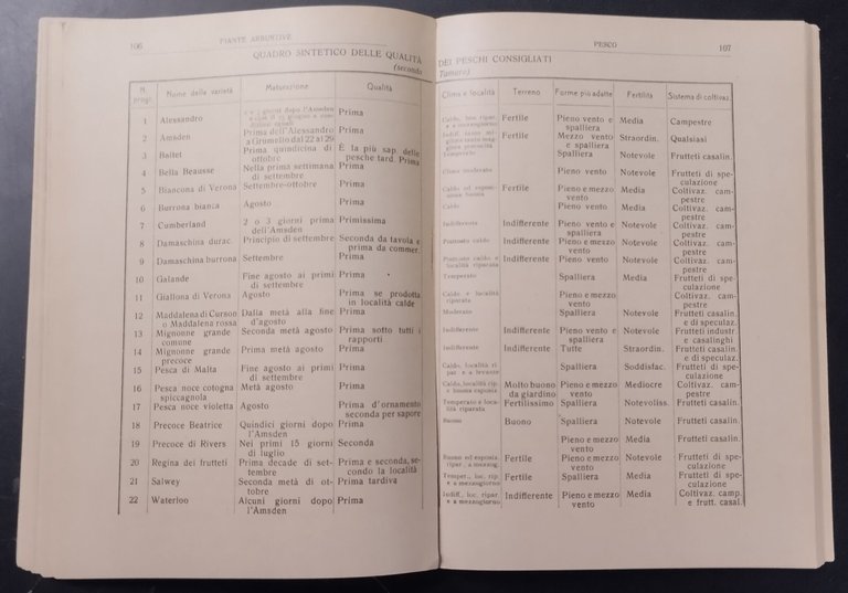 PIANTE ARBUSTIVE Trattato delle coltivazioni di Giuseppe Cusumano 1910 Libro