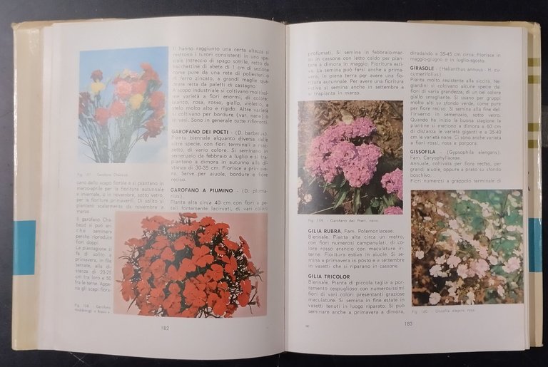 PICCOLA ENCICLOPEDIA DI ORTO FLORO FRUTTICOLTURA Turchi 1965 Sgaravatti Libro