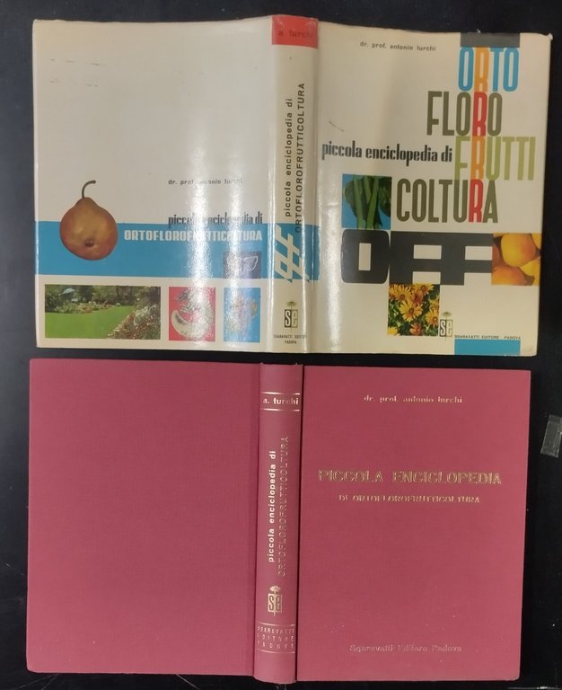 PICCOLA ENCICLOPEDIA DI ORTO FLORO FRUTTICOLTURA Turchi 1965 Sgaravatti Libro