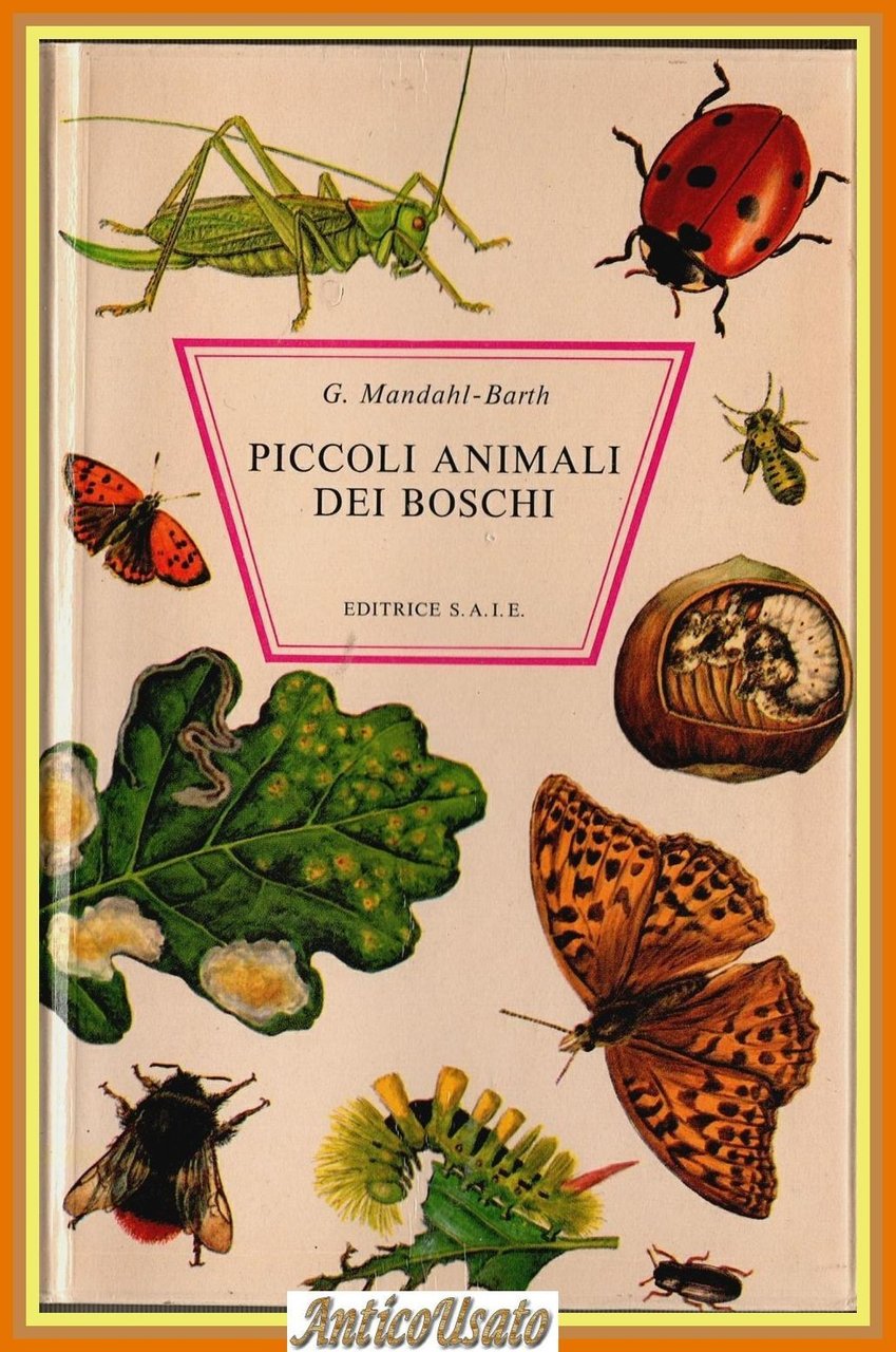 PICCOLI ANIMALI DEI BOSCHI di G. Mandahl Barth 1969 Editrice … | Immagine principale