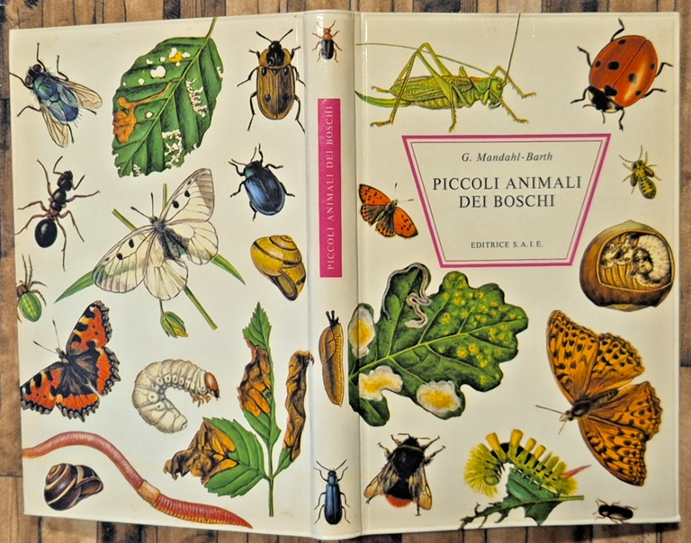 PICCOLI ANIMALI DEI BOSCHI di G. Mandahl Barth 1969 Editrice … | Immagine Gallery 2