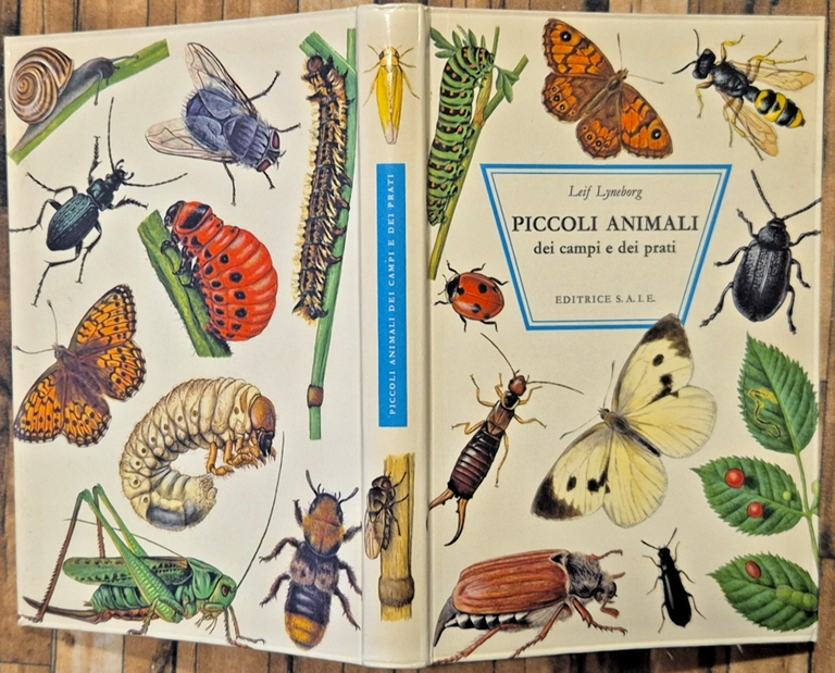 PICCOLI ANIMALI DEI CAMPI E DEI PRATI di Leif Lyneborg … | Immagine Gallery 2