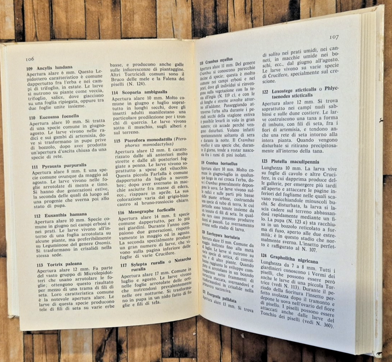 PICCOLI ANIMALI DEI CAMPI E DEI PRATI di Leif Lyneborg … | Immagine Gallery 3