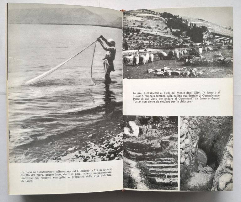 PICCOLO DIZIONARIO BIBLICO di Obermayer Speidel Vogt 1982 Edizioni Paoline …