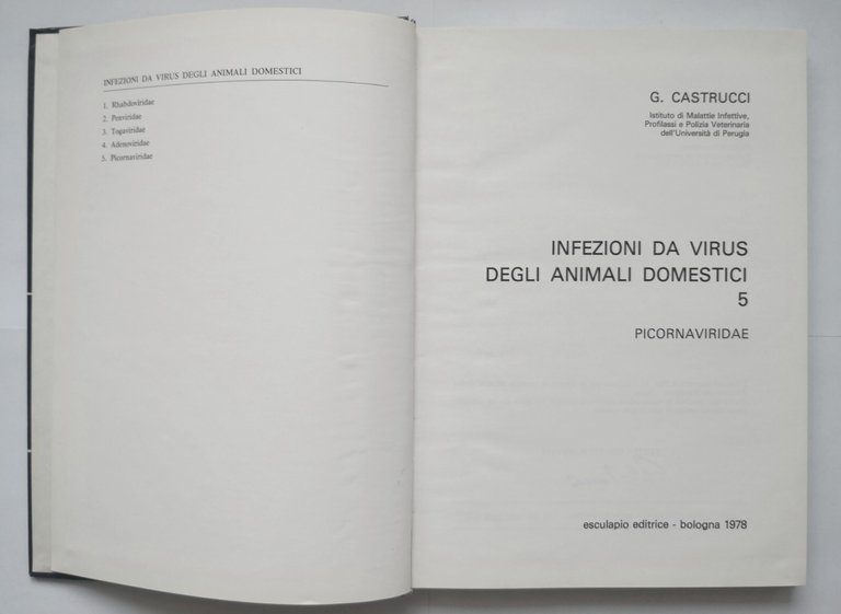 PICORNAVIRIDAE di Castrucci INFEZIONI DA VIRUS DEGLI ANIMALI DOMESTICI 1978 …