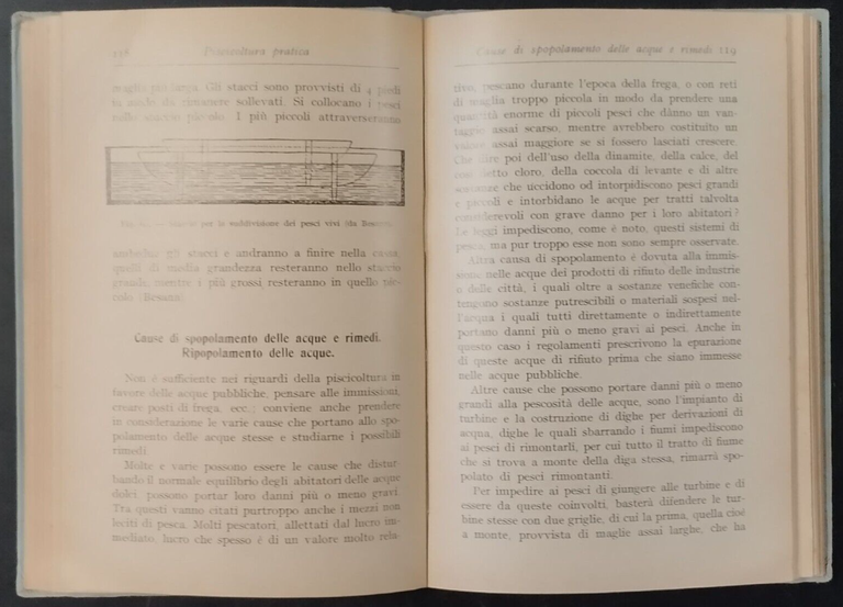 PISCICOLTURA PRATICA di Felice Supino 1932 Hoepli Libro allevamento pesci
