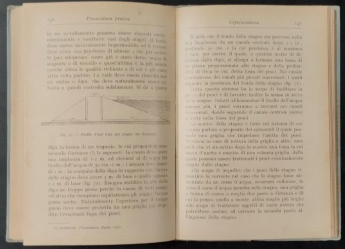 PISCICOLTURA PRATICA di Felice Supino 1932 Hoepli Libro allevamento pesci