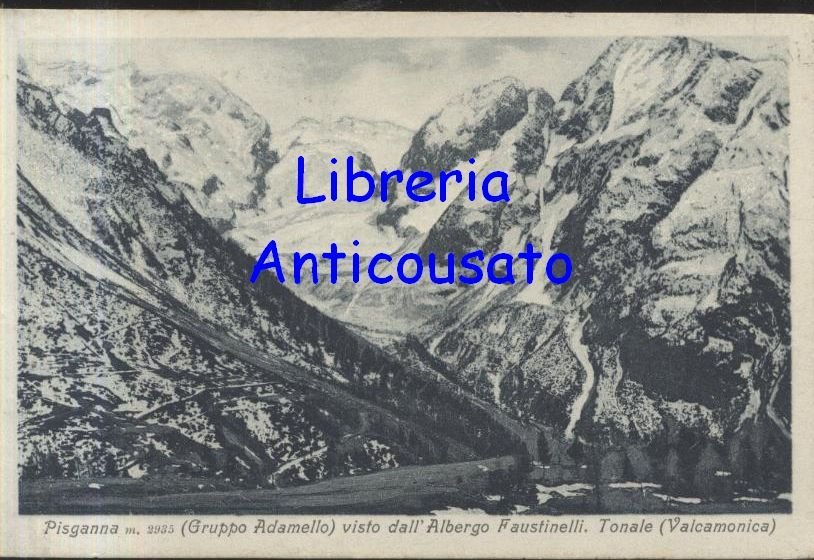 PISGANNA CARTOLINA Gruppo Adamello Visto dall'Albergo Faustinelli TONALE d'epoca