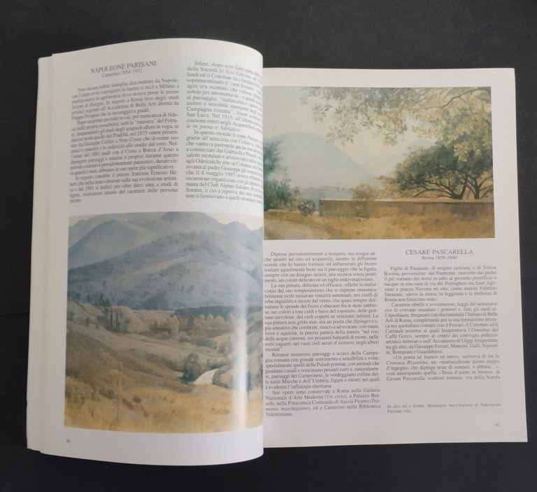 PITTORI DELLA MONTAGNA a cura di Bernoni Mammuccari 2004 LER …