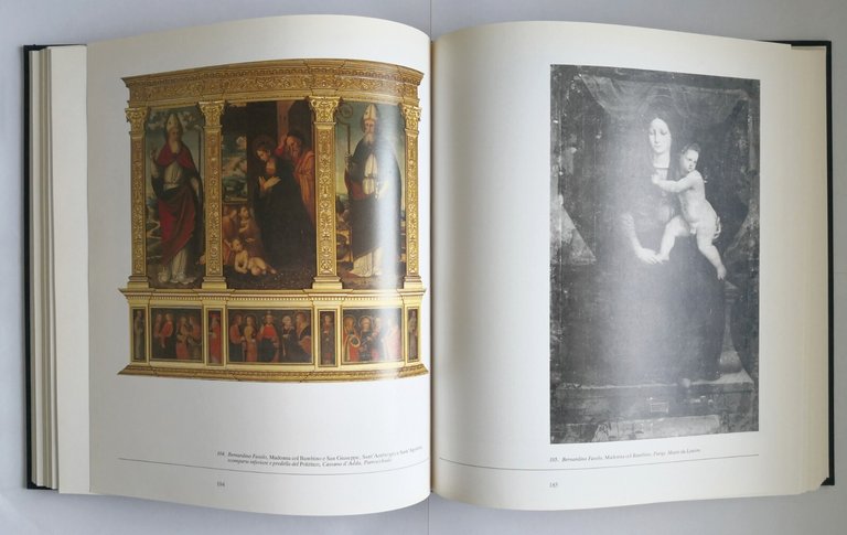 PITTURA A PAVIA DAL ROMANICO AL SETTECENTO cura di Mina …