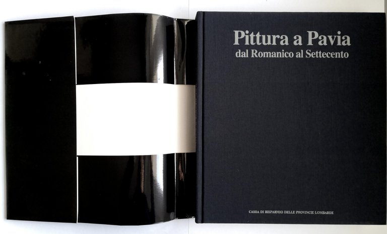 PITTURA A PAVIA DAL ROMANICO AL SETTECENTO cura di Mina …