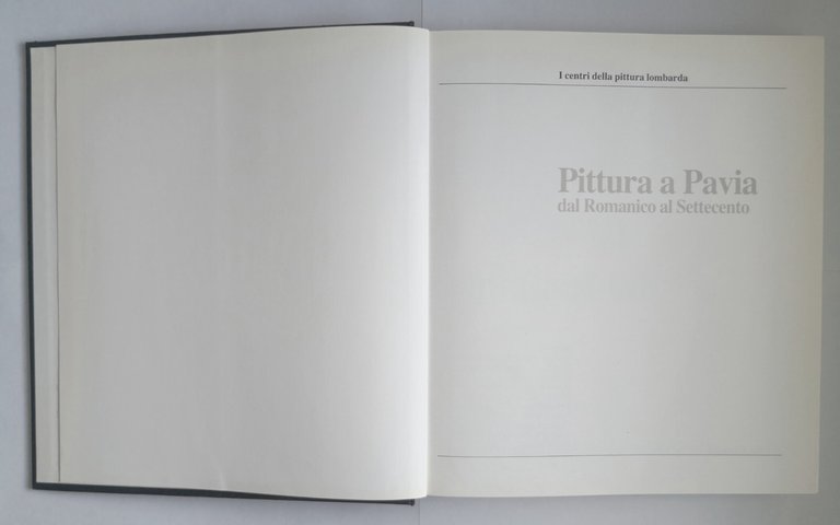 PITTURA A PAVIA DAL ROMANICO AL SETTECENTO cura di Mina …