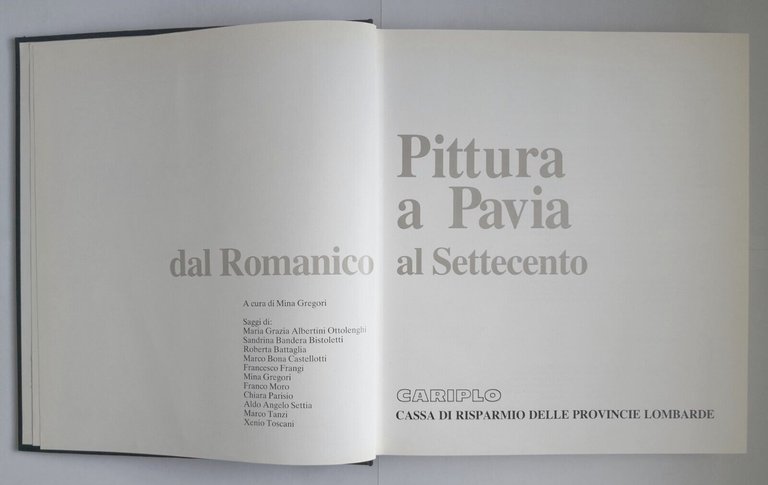 PITTURA A PAVIA DAL ROMANICO AL SETTECENTO cura di Mina …