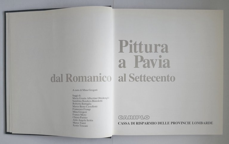 PITTURA A PAVIA DAL ROMANICO AL SETTECENTO cura di Mina …