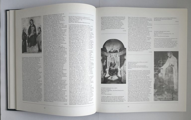 PITTURA A PAVIA DAL ROMANICO AL SETTECENTO cura di Mina …