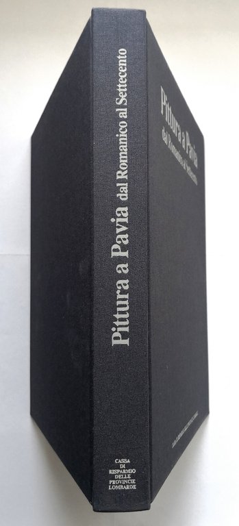 PITTURA A PAVIA DAL ROMANICO AL SETTECENTO cura di Mina …