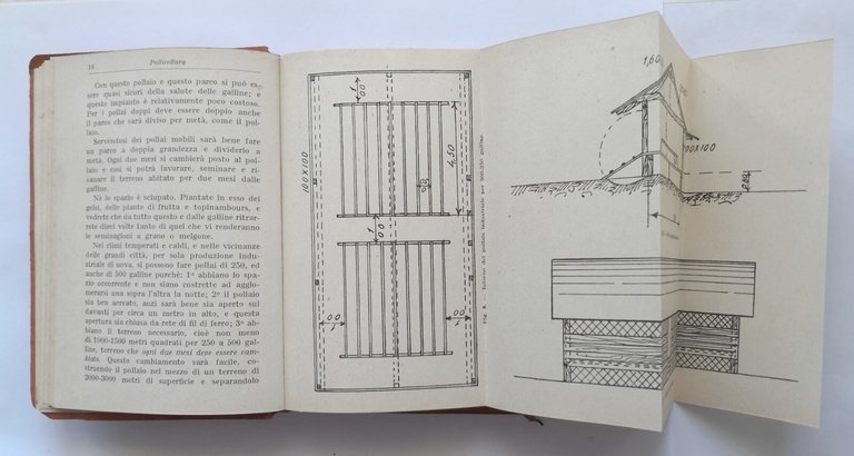 POLLICOLTURA di Trevisani 1924 Ulrico Hoepli libro manuale allevamento anatra