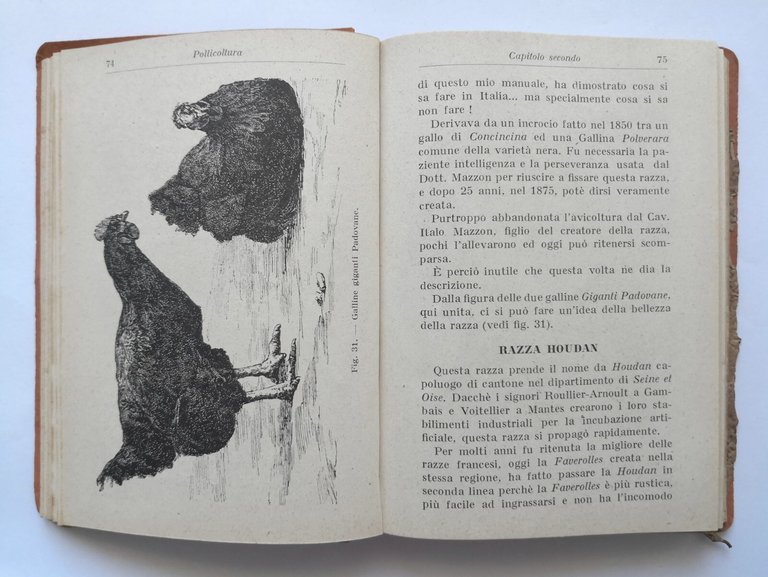 POLLICOLTURA di Trevisani 1924 Ulrico Hoepli libro manuale allevamento anatra
