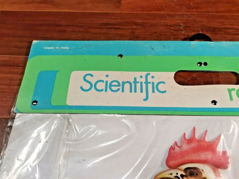 POSTER A RILIEVO Scientific ReliefPoster Vintage GALLINA scolastico Nova Rico