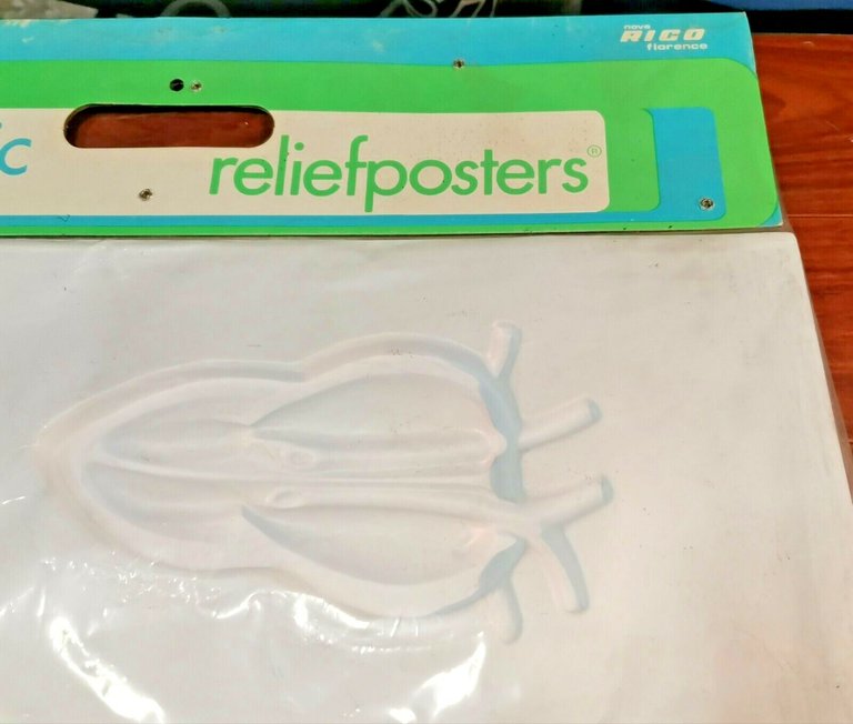 POSTER A RILIEVO Scientific ReliefPoster Vintage RETTILI scolastico Nova Rico
