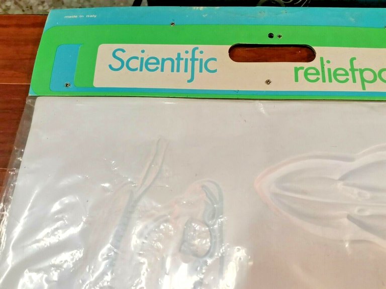 POSTER A RILIEVO Scientific ReliefPoster Vintage RETTILI scolastico Nova Rico