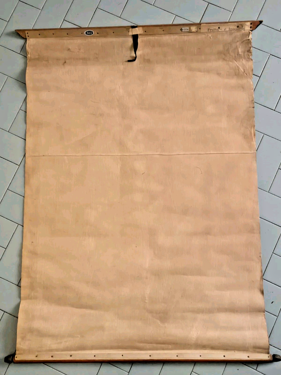 POSTER DIDATTICO SCOLASTICO Antico anni '20 Fratture Lussazioni Tavola Vallardi