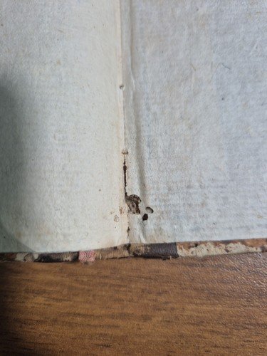 PRATICA DI PROCEDURA NE' GIUDIZI CIVILI E COMMERCIO Raffaele Mercurio …