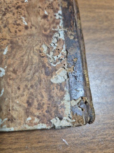 PRATICA DI PROCEDURA NE' GIUDIZI CIVILI E COMMERCIO Raffaele Mercurio …