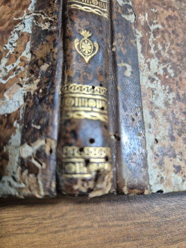 PRATICA DI PROCEDURA NE' GIUDIZI CIVILI E COMMERCIO Raffaele Mercurio …