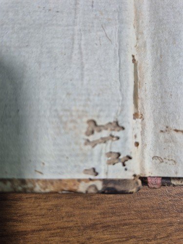 PRATICA DI PROCEDURA NE' GIUDIZI CIVILI E COMMERCIO Raffaele Mercurio …