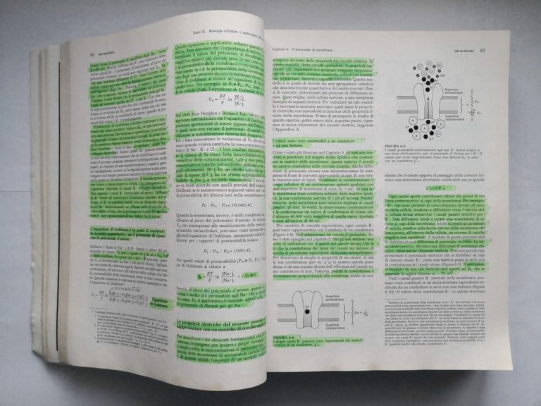 PRINCIPI DI NEUROSCIENZE Kandel Schwartz Jessell 1998 Ambrosiana Libro manuale