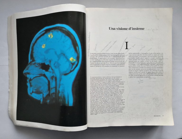 PRINCIPI DI NEUROSCIENZE Kandel Schwartz Jessell 1998 Ambrosiana Libro manuale