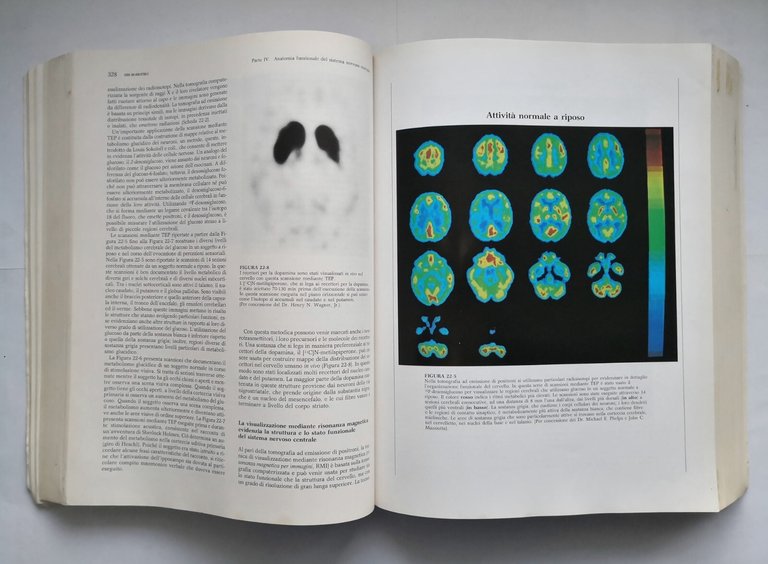 PRINCIPI DI NEUROSCIENZE Kandel Schwartz Jessell 1998 Ambrosiana Libro manuale