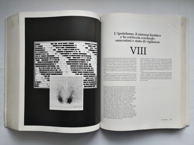 PRINCIPI DI NEUROSCIENZE Kandel Schwartz Jessell 1998 Ambrosiana Libro manuale