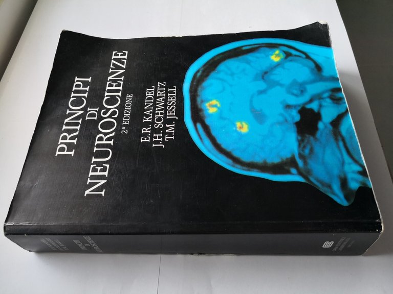PRINCIPI DI NEUROSCIENZE Kandel Schwartz Jessell 1998 Ambrosiana Libro manuale
