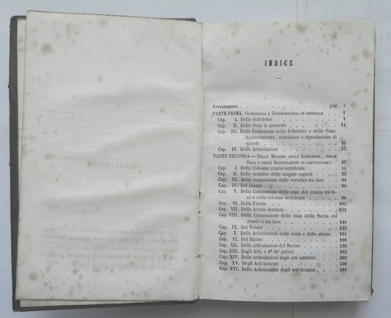 PRINCIPI DI OSTEOLOGIA E ARTROLOGIA DELL'UOMO De Martini 1860 Vitale …