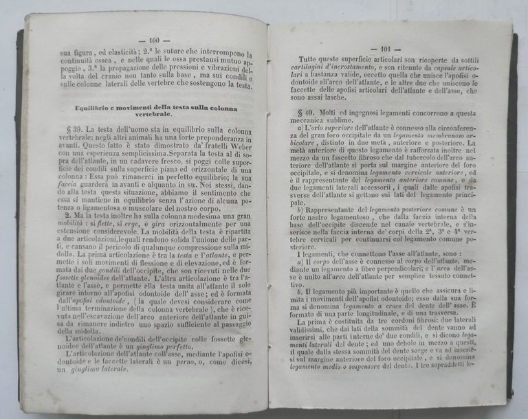 PRINCIPI DI OSTEOLOGIA E ARTROLOGIA DELL'UOMO De Martini 1860 Vitale …