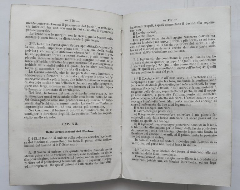 PRINCIPI DI OSTEOLOGIA E ARTROLOGIA DELL'UOMO De Martini 1860 Vitale …