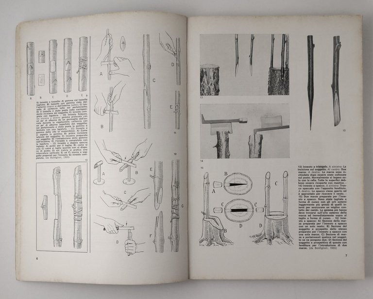 PRONTUARIO DI FRUTTICOLTURA Mario Fregoni e Gianni Gambi 1978 Edagricole …