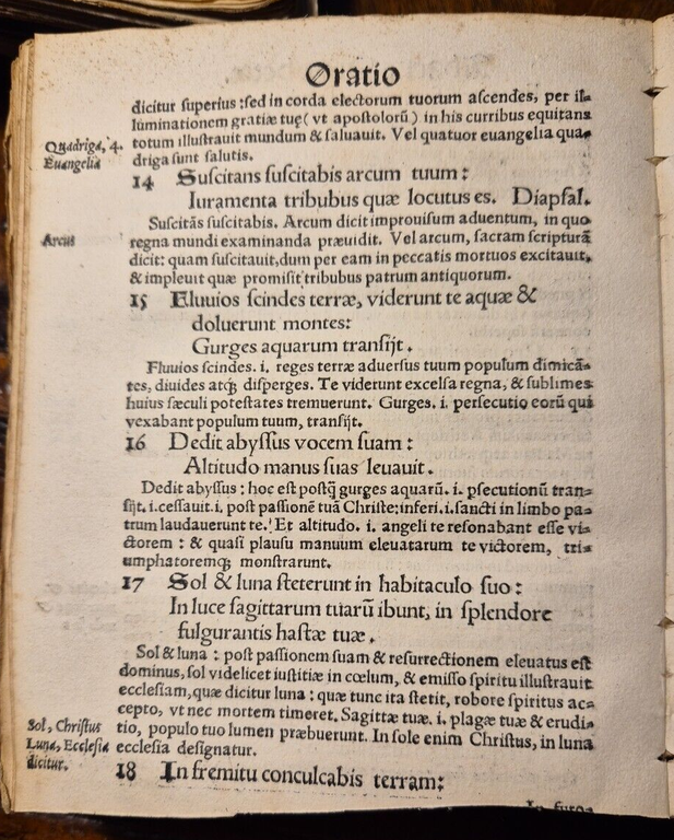 Psalterium Beati Brunonis 1533 Nicolaum Fabrum Lipsia libro antico malridotto