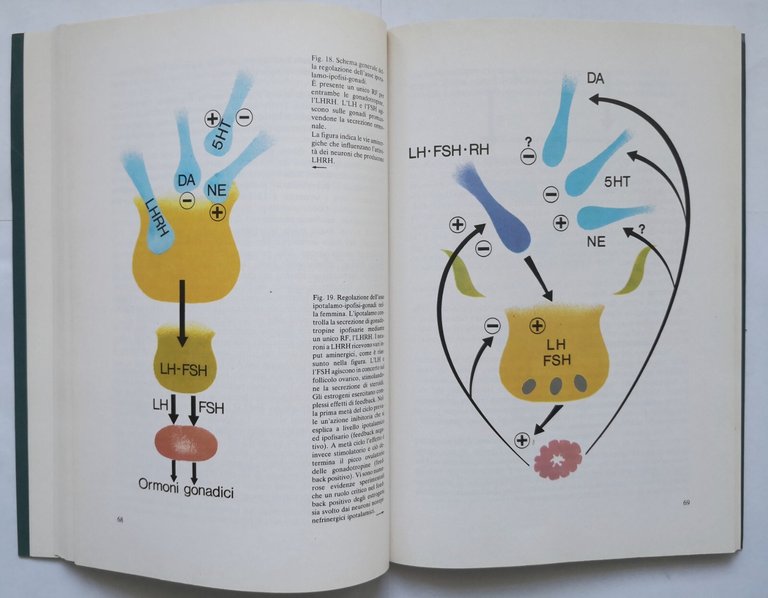 PSICO NEURO ENDOCRINOLOGIA di Scapagnini Canonico Ferrara 1982 Liviana libro