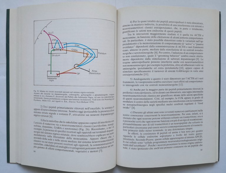 PSICO NEURO ENDOCRINOLOGIA di Scapagnini Canonico Ferrara 1982 Liviana libro