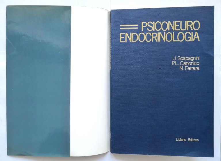 PSICO NEURO ENDOCRINOLOGIA di Scapagnini Canonico Ferrara 1982 Liviana libro