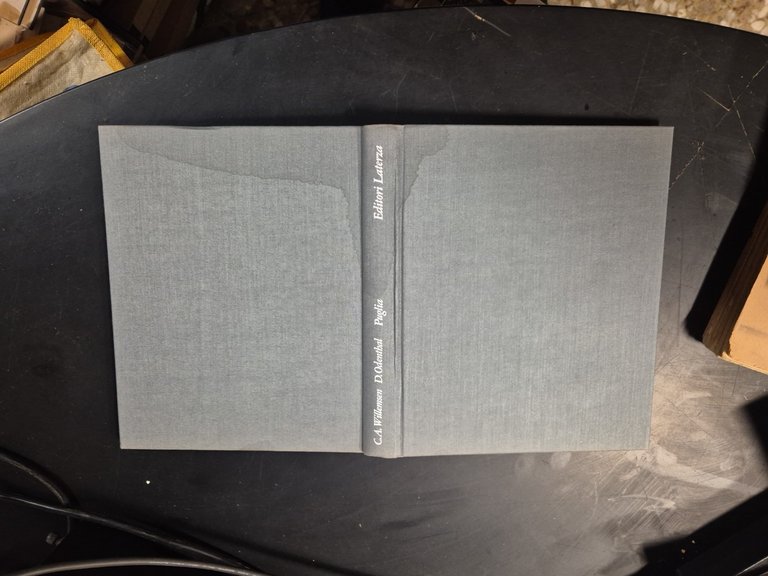 PUGLIA di Willemsen e Odenthal 1978 Laterza Grandi opere libro