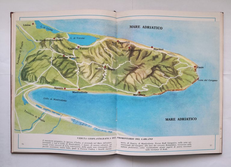 PUGLIA E BASILICATA Vittorio Di Vito 1967 Franco Raiteri libro …