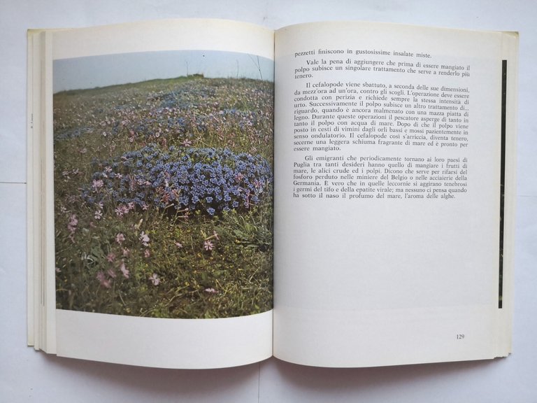 PUGLIA FUORI STRADA di Vittorio Stagnani 1976 Agielle Libro storia …