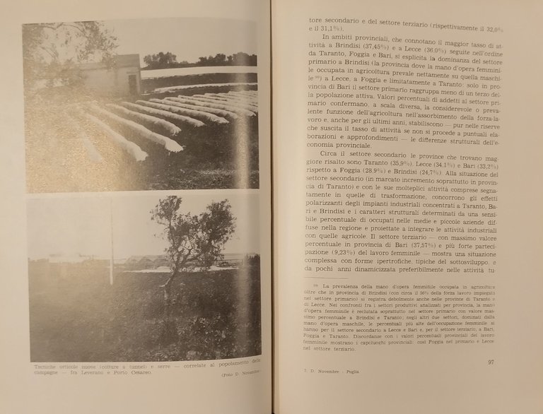 PUGLIA POPOLAZIONE E TERRITORIO di Domenico Novembre 1979 Milella Libro