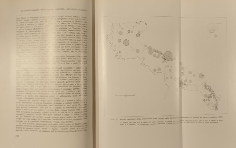 PUGLIA POPOLAZIONE E TERRITORIO di Domenico Novembre 1979 Milella Libro