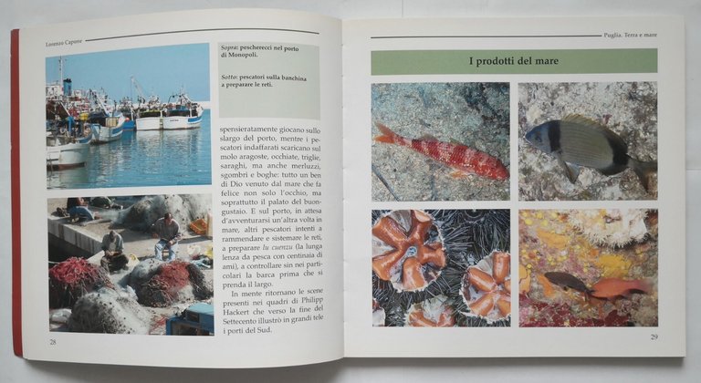 PUGLIA TERRA E MARE di Lorenzo Capone 2006 Edizioni del …
